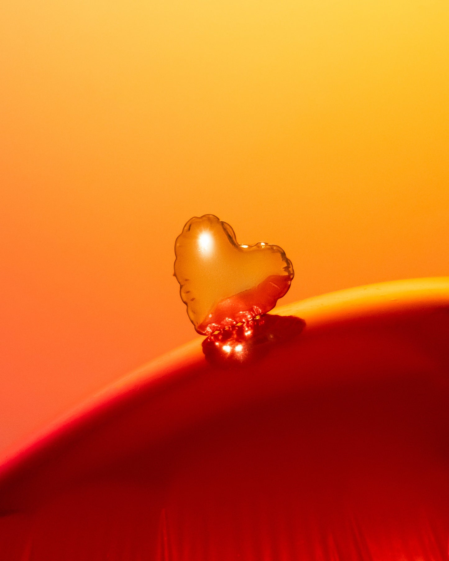 ANILLO CORAZÓN GLOBO*